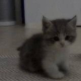 Научились думать'