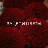Зацепи Цветы