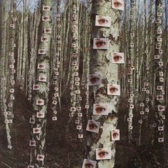 ЧВК Редан❗️ ВСЕ ВИДЕО ТУТ