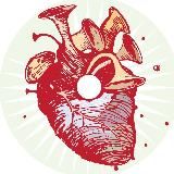 ГРУППА АРКАДИЙ КОЦ