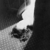 Берестова Катя