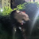 От судьбы ограда