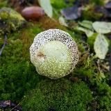 Художественная гимнастика 🌱Садырова Ирина Юрьевна🌱 irina-sadyrova.ru 🌱