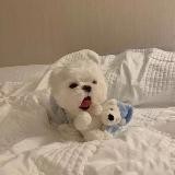 ukiꪗo ༊‏࿐ [CLOSED]