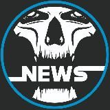 DV NEWS