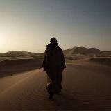 Охота за мыслью