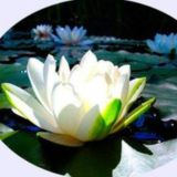 Ведическое наследие: астрология, эзотерика, мудрость славян