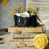 ТВОИ СТОРИС