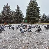 Сумки из бусин. Мелитополь