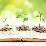 Проверяем Компании. Аналитика