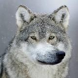 Вакансии - UGC, креаторы, рилсмейкеры