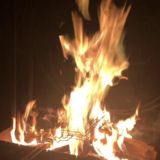 Цыгане Солнцево