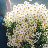 Schwangerschaft in Munich