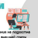 Индивидуальный проект (Итоговый проект)