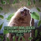 𝑩𝒆𝒂𝒗𝒆𝒓