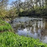 Novozhanovo_kh