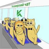 Пассажирский чат 🚌