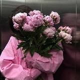 Твой Аутфит | WB