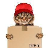 Работает курьер