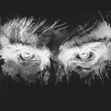 Чатик Дагона