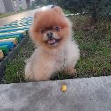 ЗА ЗАКЛАДКОЙ 3.0👻