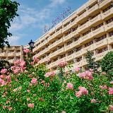 Санаторий «Заполярье» | Сочи