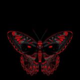 ⚜️ 𝕄𝕦𝕫𝕠𝕟𝕔𝕙𝕚𝕜⚜️