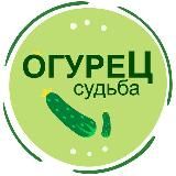 Правильное питание. Здоровый образ жизни.