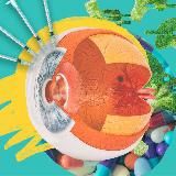 Крематорий