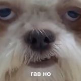 Ламповый чатик