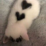 Продаю канал