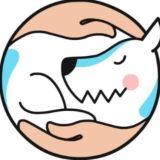 Чат школы Pi-Bo 💭🐕