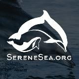 Центр «Безмятежное Море» 🐬