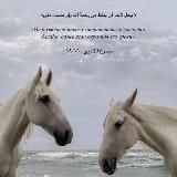 Di.Faith❤️🩹🌙