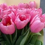 ДВИЖЕНИЕ К ЦЕЛЯМ