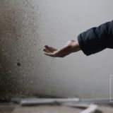 Чат Школы Аюрведы Максима Володина