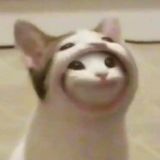 Пепсикозы 🐐