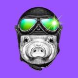 Вебинар → Квест