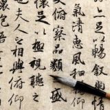 Chinese Diary | 中文日记 Chat