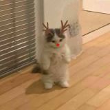 ❄️👶🏻Чатик бейбиков👶🏻❄️