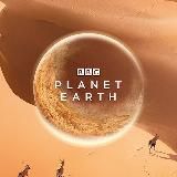 🌸 АНГЕЛИНА 🌸