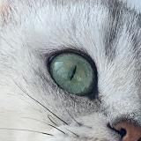 [сделай зарядку для глаз]