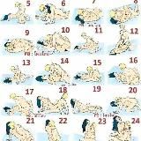 𝗛𝗮𝗻 𝗚𝘆𝗶 𝗙𝗿𝗲𝗲 𝗕𝗼𝗱𝘆 𝗖𝗵𝗮𝗻𝗻𝗲𝗹 ( 𝗬𝗚𝗡 )