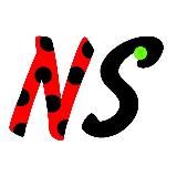 NS | ЛедиБаг и Супер Кот