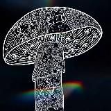 MUSHROOM GENETICS 🍄 ОТЗЫВЫ