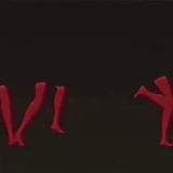 spine