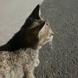 𝓻𝓾𝓴𝓶𝓪𝓿𝓿