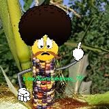 ♬ KTNK.TJ - Музыкальный портал🇹🇯