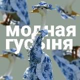 шкафчик каверденсера