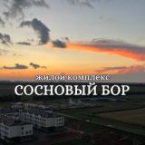 Сосновый бор